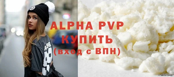 ECSTASY Бородино