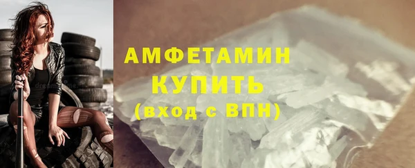 ECSTASY Бородино