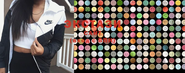 ECSTASY Бородино