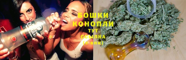 ECSTASY Бородино