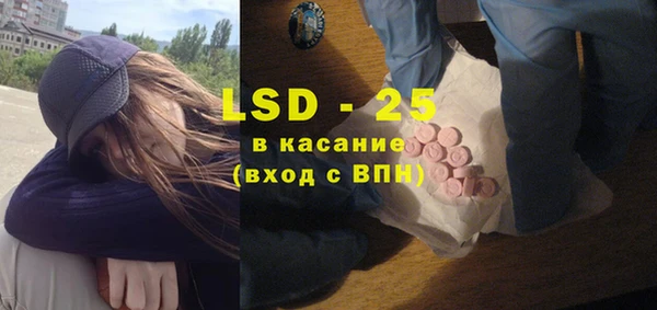 ECSTASY Бородино