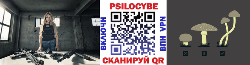 Псилоцибиновые грибы Psilocybe  Купить закладки  Кола 