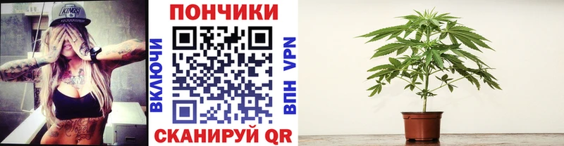 Купить где  Кола  МАРИХУАНА ГИДРОПОН 